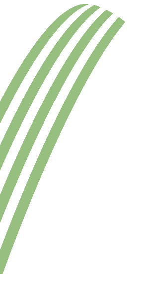 footer-v1-shape2